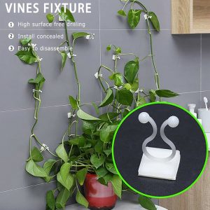 10/20/50pcs Plant Climbing Wall Clip Invisible Wall Vines Fixture Wall Sticky Hook Holder Plant Cages & Supports