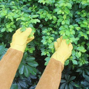 Adult Cowhide Gardening Pet Garden Gloves Beekeeping Blacksmith Welding Tools Labor Insurance Stab-proof Cutting