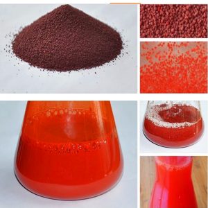 carophyll red canthaxanthin 10%
