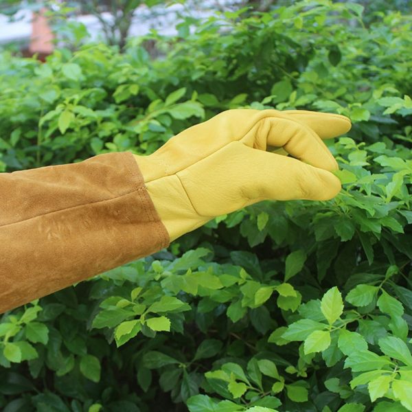 Adult Cowhide Gardening Pet Garden Gloves Beekeeping Blacksmith Welding Tools Labor Insurance Stab-proof Cutting