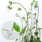 50pcs Invisible Wall Rattan Clamp Clip Invisible Wall Vine Climbing Sticky Hook Rattan Fixed Clip Bracket Plant Stent Supports
