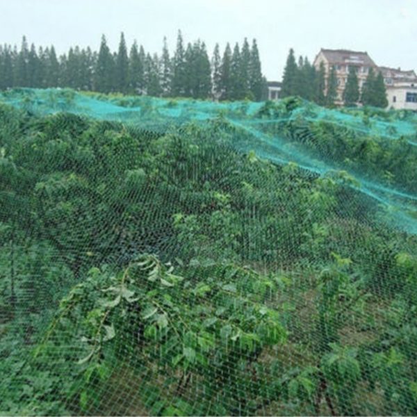 2/4/5M Extra Strong Anti Bird Netting Garden Allotment Doesn't Tangle And Reusable Lasting Protection Against Birds Deer