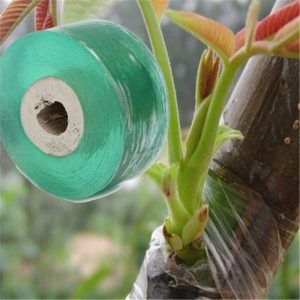 Roll tape Seedle Garden Parafilm graft budding Plant floristry Pruning repair Strecth Pruner moisture barrier fruit tree Nursery