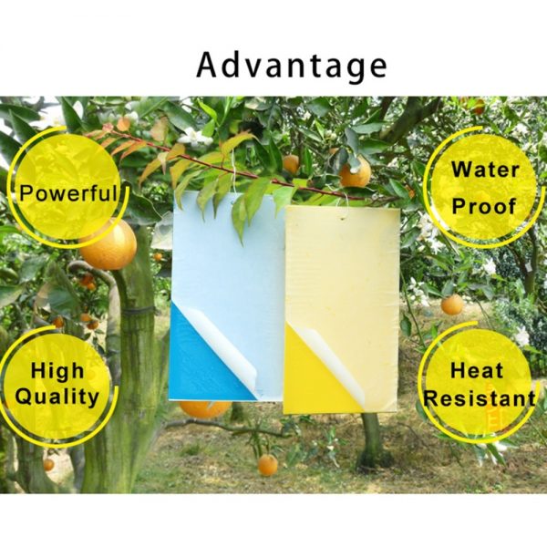 20Pcs Sticky Insect Traps Board Cockroaches Ant Mosquito Glue Pest Fly Trap Flying Insect Traps Catcher Killer Glue Stickers