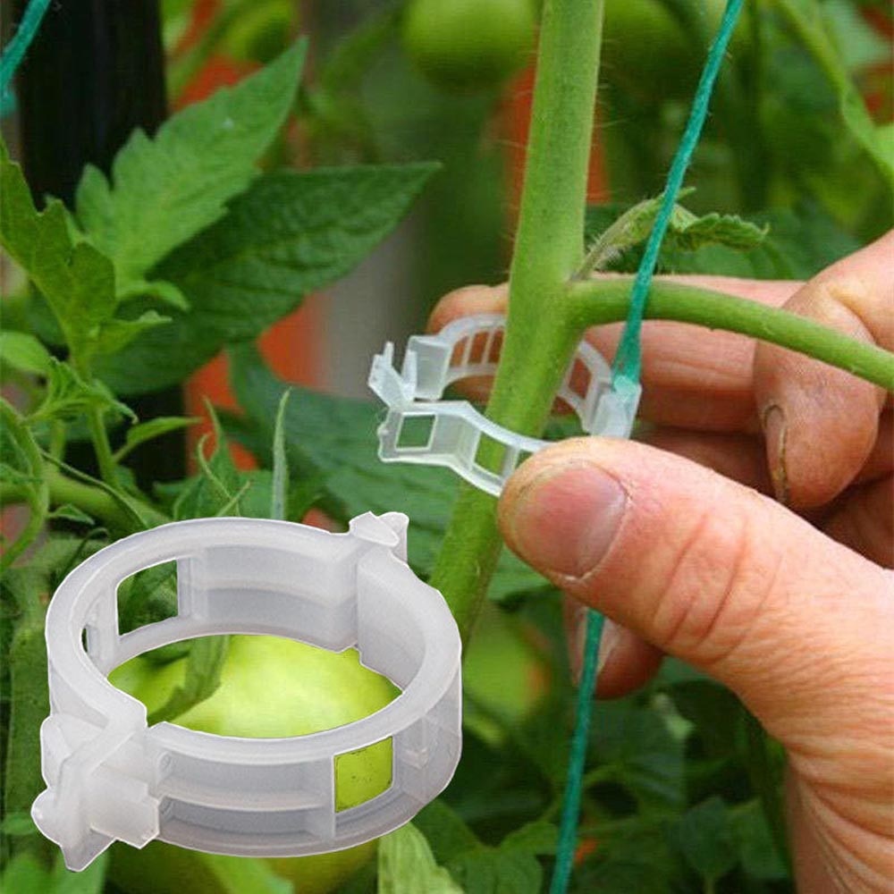 100Pcs Tomato Plant Support Clips Veggie Garden For Trellis Twine Greenhouse Hot 