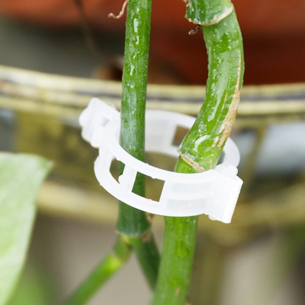 100PC Plastic Trellis Tomato Clips Supports Connects Plants Vines Trellis Twine Cages Greenhouse Veggie Garden Plant Clip FDH