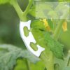 50pcs! Plastic plant clips anti-bending tomatoes Branch Fixing garden fruit Vine Connects Supporting Plant Stems Grow Upright (White)