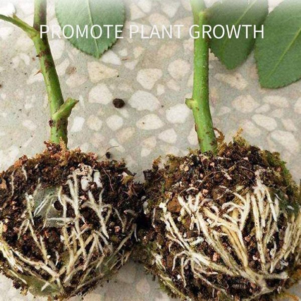 5/10PCS Adjustable Plant Rooting Ball Bonsai Grafting Rooting Growing Box Breeding Case for Garden Indoor Hydroponics device box